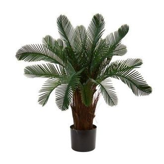 Nearly Natural 2-ft Cycas Artificial Tree, UV Resistant in Green at Nordstrom
