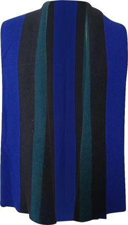 Acne Studios Striped Scarf in Multicolor Wool