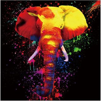 Schubiger M&ouml;bel Digitaldruck auf Glas Farbkomposition Elefant
