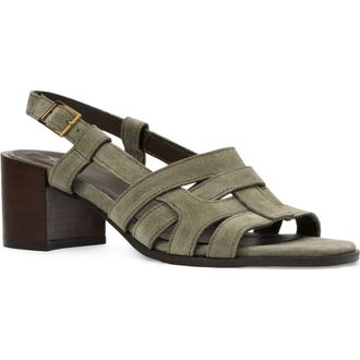 Aquatalia Dimaro Weatherproof Slingback Sandal in Sage Cow Suede at Nordstrom, Size 8.5