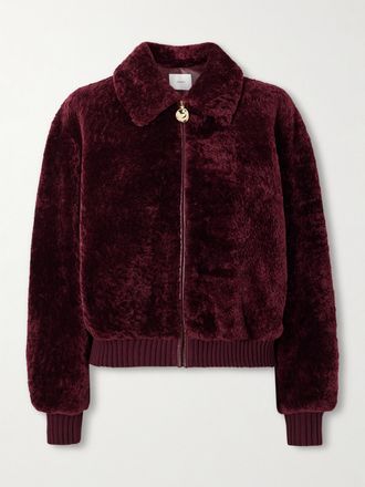 Joseph Bomber In Shearling - Bordeaux