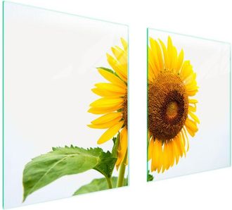 OEM Placa Protectora De Vidrio Para Estufa 85x52 Flor