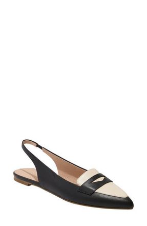 Jack Rogers Pennie Slingback Pointed Toe Flat in Black/ivory at Nordstrom, Size 6.5