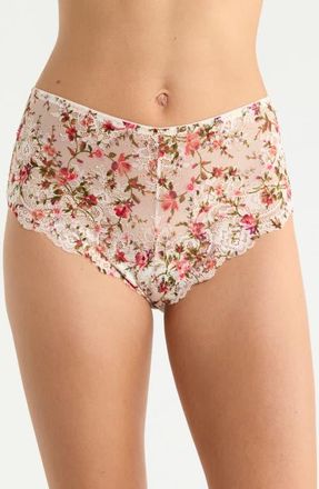 Kilo Brava Floral Lace Hipster Panties in Field Floral at Nordstrom, Size Xx-Large