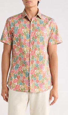 Rodd & Gunn Ravensbourne Button Up Shirt in Brick at Nordstrom Rack, Size Xx-Large