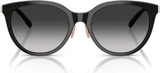 Tiffany & Co. 55mm Round Sunglasses in Black /Grey Gradient at Nordstrom