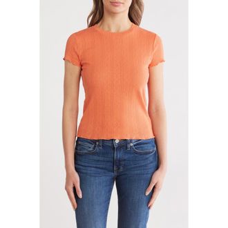 Splendid Como Pointelle T-Shirt in Persimmon at Nordstrom Rack, Size X-Small