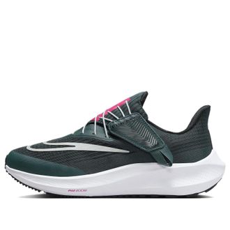 Nike (WMNS) Nike Air Zoom Pegasus 39 FlyEase Wide Deep Jungle Metallic Silver DJ7384-300