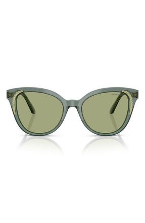 Swarovski 53mm Butterfly Sunglasses in Transparent Green/Dark Green at Nordstrom