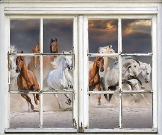 Queence Wandsticker »Pferde« Wandsticker, Wandbild, selbstklebend, 3D, Fenster