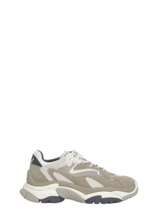 Ash Grey Addict Suede Sneakers