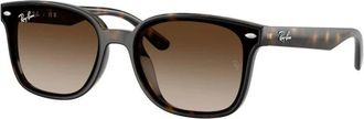 Ray-Ban unisex, Accessoires, Bruin, Maat: 64 MM