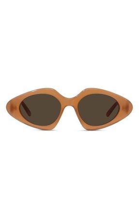 Loewe Slim 50mm Geometric Sunglasses in Shiny Black /Brown at Nordstrom