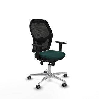 Piqueras y Crespo Piqueras Y Crespo Jorquera Silla Ergon&oacute;mica Verde Botella