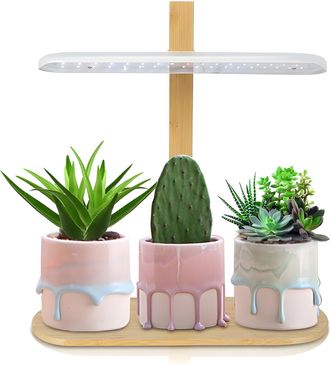 Infinite L&aacute;mpara Led De Espectro Completo De 10 W Para Plantas De Interior, Altura Ajustable, Temporizador (2/4/8 Horas), 4 Niveles De Brillo, Dise&ntilde;o De Mesa F