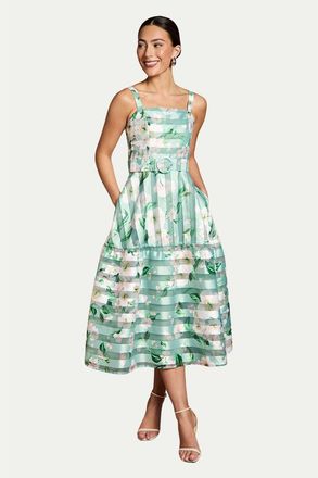 Coast Burnout Organza Midi Dress in Sage at Nordstrom, Size 14