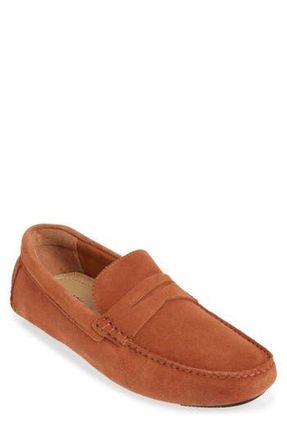 Nordstrom Cody Driving Loafer in Rust Adobe at Nordstrom Rack, Size 8