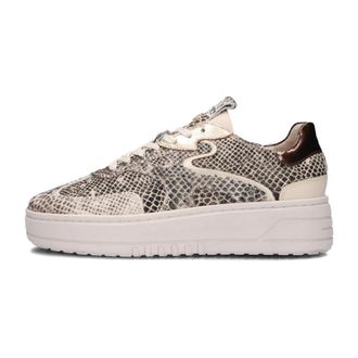 Haboob Schoenen, Dames, Beige, 39 EU, Leer, Beige Slangenprint Lage Sneakers
