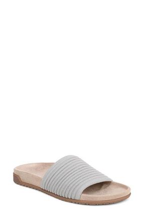 Vionic Evie Slide Sandal in Vapor Grey/silver at Nordstrom, Size 7.5