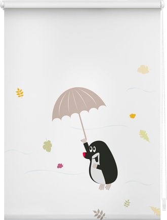 Lichtblick Original Seitenzugrollo »Rollo Klemmfix, ohne Bohren, blickdicht, Maulwurf - Bunt« blickdicht Blendschutz Sichtschutz freihängend