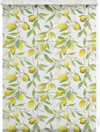 Lichtblick Original Seitenzugrollo »Rollo Klemmfix, ohne Bohren, Verdunkelung, Limone - Gelb Grün« verdunkelnd Verdunkelung energiesparend freihängend