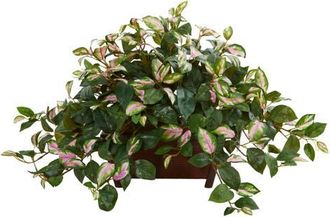 Nearly Natural Hoya Artificial Plant in Decorative Planter in Green at Nordstrom