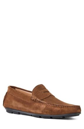 Aquatalia Enzo Water Resistant Driving Loafer in Brown Suede at Nordstrom, Size 10.5