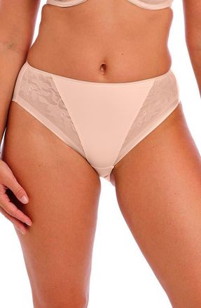 Fantasie Illusion Full Figure Mesh Briefs in Natural Beige at Nordstrom, Size Xx-Large
