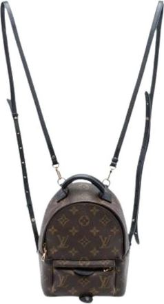 Louis Vuitton Pre-owned Mini Palm Springs - Dames - Vintage Rugzakken - Bruin - ONE Size - Vintage