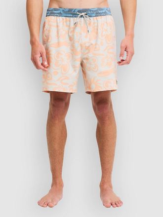 Billabong Ty Williams Boardshorts patroon