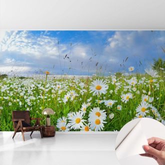 Tulup Fotomurale Adesivo - Murale Da Parete - Carta Da Parati Autoadesiva - Design Parete Moderno - Prato Estivo 416x254 Cm