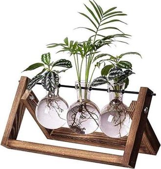OEM Estaci&oacute;n De Propagaci&oacute;n De Plantas Tipo Terrario: 3 Jarrones Esf&eacute;ricos De Vidrio Con Base De Madera Retro, El Jard&iacute;n Y La Oficina