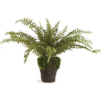 Napa Home & Garden Boston Fern Drop-In 16 in Green at Nordstrom