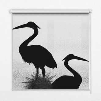 Tulup Tenda A Rullo Interna Per Finestra - Tenda Filtrante Luce - Tenda Privacy - Tenda Decorativa Rettangolare - Rullo Per Interni - (70 Cm X 140 Cm) - Air