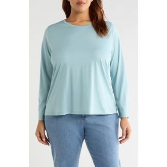 Eileen Fisher Long Sleeve Cotton Crewneck Top in Seafoam at Nordstrom, Size 1X