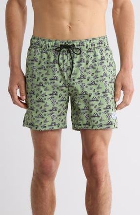 Beach Bros Floral Leaf Print Swim Trunks in Sage Green at Nordstrom Rack, Size X-Large