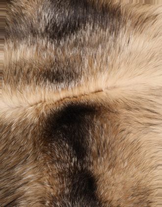 Dolce & Gabbana Womens Brown Frost Fox Fur Neck Warmer Winter Scarf