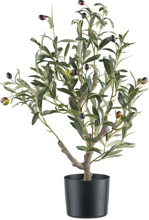 Creativ Green Kunstpflanze