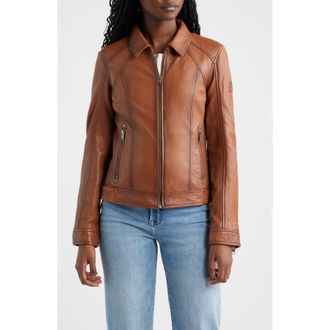 Mauritius Sunny 2 Leather Jacket in Cognac at Nordstrom, Size 11