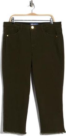 Democracy High Waist Slim Straight Leg Jeans in Duffel Green at Nordstrom Rack, Size 18 P