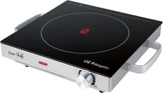 Orbegozo Orbegozo - Placa Vitrocer&aacute;mica Port&aacute;til Pce 5000, Cuerpo De Acero Inoxidable, Piloto De Funcionamiento, 2000 W