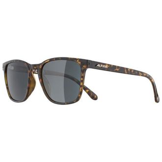 Alpina Yefe Polarized Cat. 3 Sonnenbrille - Unisex | grau