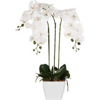 Beliani Planta Artificial En Maceta Orqu&iacute;dea Planta De Interior Decoraci&oacute;n De Pl&aacute;stico 59 Cm Orchid