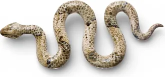 Creative Co-op Reactive Glaze Ceramic Snake Decor In Be