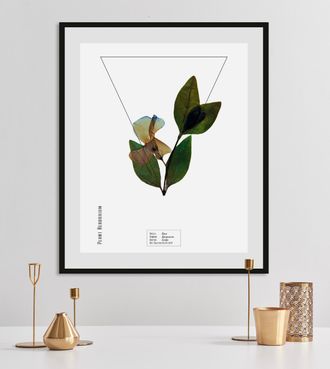 Queence Bild »Vinca« Pflanzen Pflanzenbilder Schriftzug 1 Stk. tlg. HD Premium Poster-Druck inkl. Holzrahmen