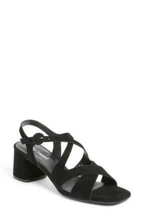 Jeffrey Campbell Rayet Strappy Block Heel Sandal in Black Suede at Nordstrom, Size 7.5