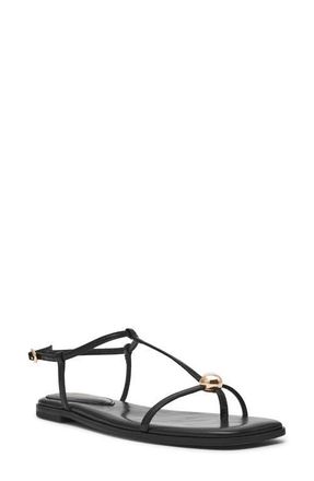 Steve Madden Ritzy Thong Sandal in Black at Nordstrom, Size 9.5