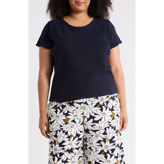 Adrianna Papell Short Sleeve Sweater in Navy at Nordstrom Rack, Size 2X