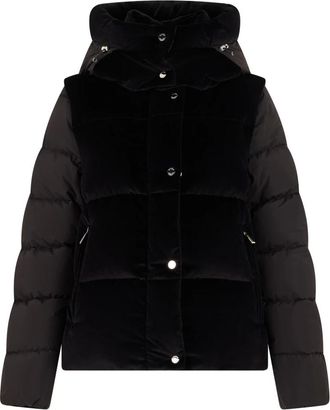 Moorer Lavy-Ev Jas - Dames - Winterjassen - Bruin - XS - Katoen - Jassen