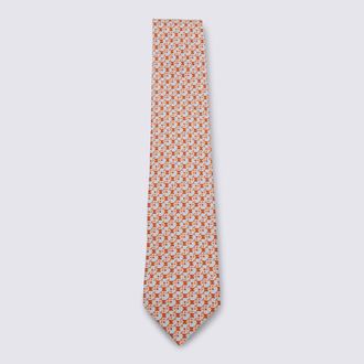 Ferragamo Ties Bright-Uomo